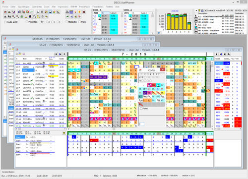 Программное обеспечение для управления складами (WMS) - StaffPlanner - DECIS SA - для управления персоналом / для управления / для базы данных ODBC