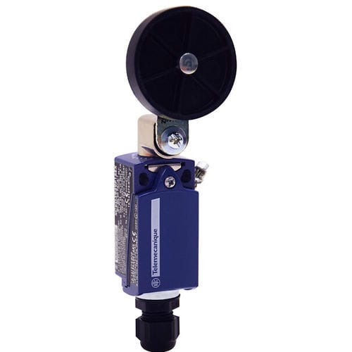 Ротационный концевой выключатель - XCKD3939P16EX - Telemecanique Sensors - IEC / стандартный / ATEX