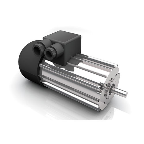 Двигатель AC - DR 62.0x80-4 - Dunkermotoren GmbH - трехфазовый / 400 В / с защитой