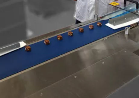 Плоский приводной ремень - Dectyl - AMMERAAL BELTECH - из полиуретана / из термопластика / для продуктов питания