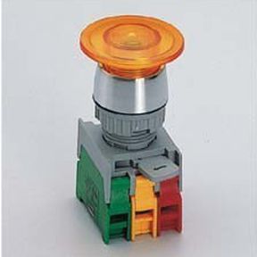 Переключатель с подсветкой - EBL22-1OC - Auspicious Electrical Engineering Co., Ltd. - однополюсный / IP65 / закрытый