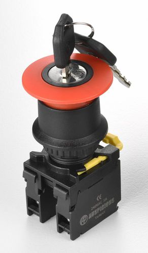 Переключатель с ключом - A2EKS series - Auspicious Electrical Engineering Co., Ltd. - однополюсный / IP65 / закрытый