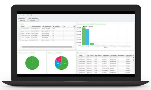 Программное обеспечение для управления - Sage FRP 1000 Comptabilité - Sage bäurer GmbH - для безопасности / отслеживания / бухгалтерского учета