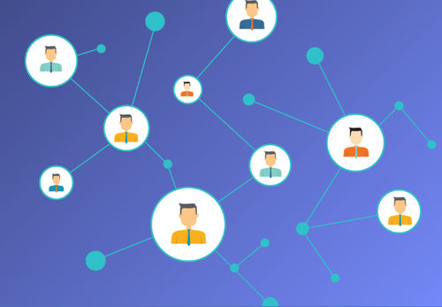 Программное обеспечение для управления - InfoSphere® Identity Insight - IBM - для анализа / для интерфейса / сервер