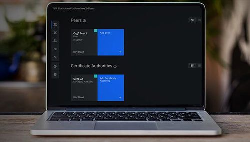 Программное обеспечение для управления - Support for Hyperledger Fabric - IBM - развития / испытательное / для сети