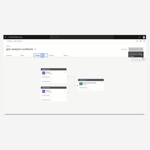 Программное обеспечение для анализа - Data governance - IBM - для контроля / качества / для автоматизации процесса