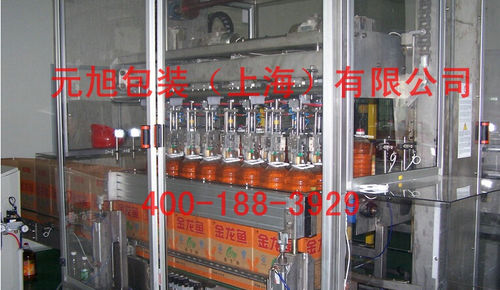Станок для укладывания в ящики подъемно-транспортного типа - Yuanxu Packing(shanghai) Machinery Co., LTD - с загрузкой сверху / автоматический / для бутылок