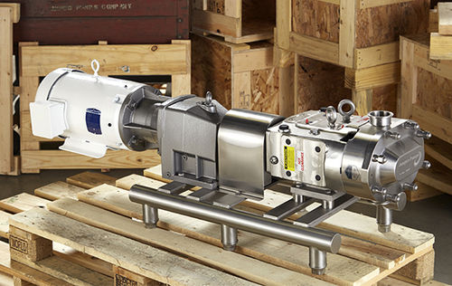 Роторно-лопастный насос - ZP3  - Ampco Pumps - для напитков / для масла / электрический