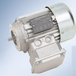 Двигатель EC - Walther Flender - 400 В / ATEX / взрывозащищенный