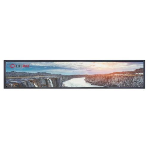 Монитор TFT-LCD - 4305-Y series - Litemax Electronics Inc. - LED / со светодиодной подсветкой / для видеосвязи