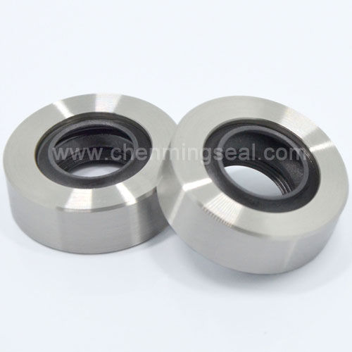Кромочный уплотнитель - CTL series - Ningbo Chenming Seals Manufacturing Co., Ltd. - из нержавеющей стали / из ПТФЭ / круговой