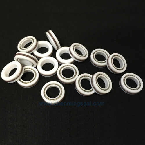 Уплотнитель с пружиной - RSM series - Ningbo Chenming Seals Manufacturing Co., Ltd. - из ПТФЭ / U-образный / для вращающегося вала