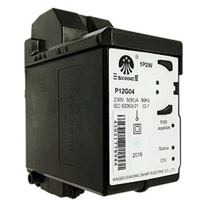 Монофазовый Электрический счетчик электроэнергии - P12G04 - Ningbo Sanxing Electric Co., Ltd - на DIN-рейке / предоплаченный