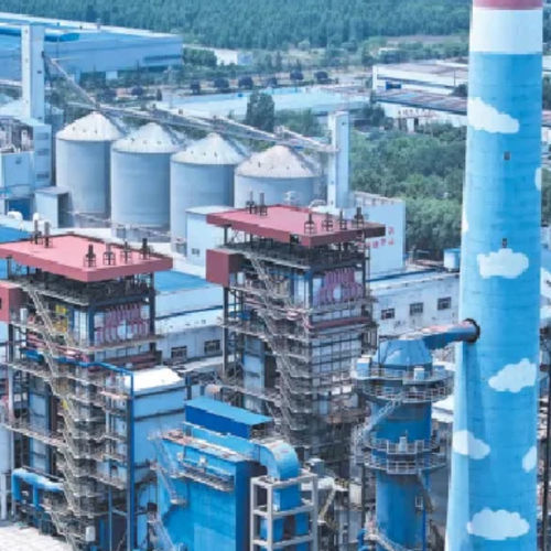 Котел для горячей воды - QXF - Taishan Group Tai’an Boao International Trade Co., - на биогазе / угольный / промышленный