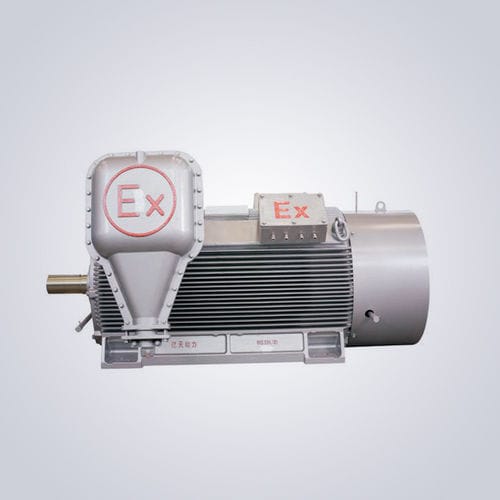Двигатель высокого напряжения - YB2 - Jiangsu Dazhong Electric Motor CO., Ltd - асинхронный / трехфазовый / 6000 В