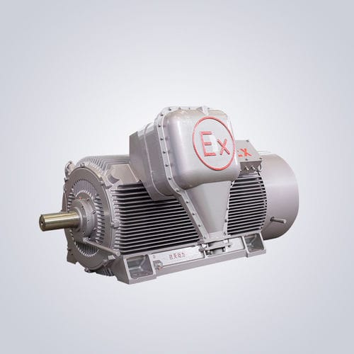 Двигатель высокого напряжения - YBKS - Jiangsu Dazhong Electric Motor CO., Ltd - асинхронный / трехфазовый / 6000 В