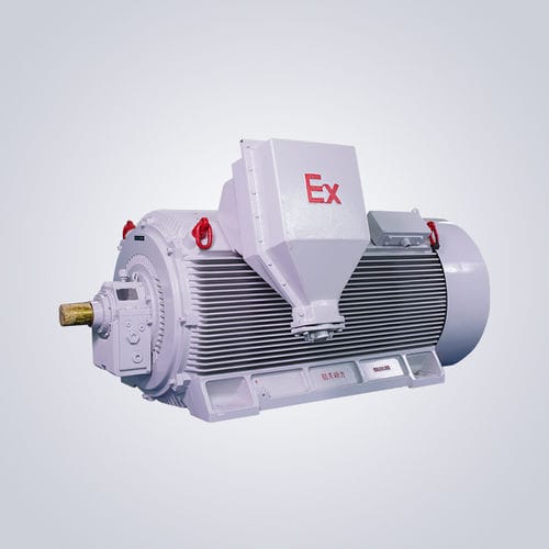 Взрывобезопасный двигатель - Y2W - Jiangsu Dazhong Electric Motor CO., Ltd - асинхронный / трехфазовый / 6000 В