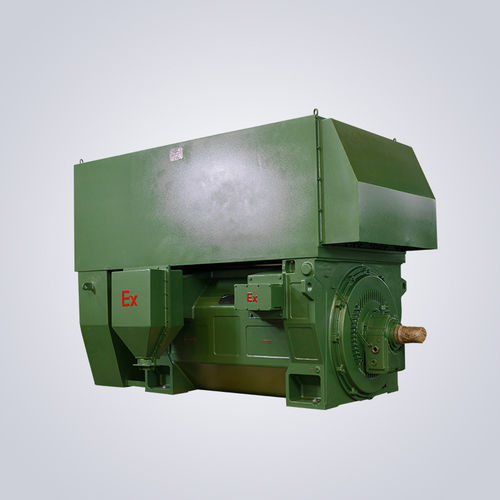 Взрывобезопасный двигатель - YWKK - Jiangsu Dazhong Electric Motor CO., Ltd - асинхронный / трехфазовый / 6000 В