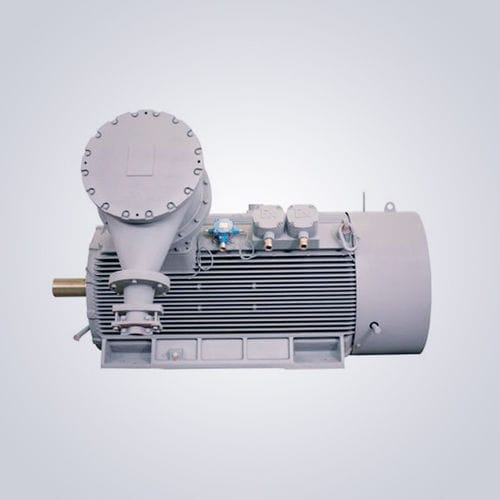 Двигатель низкая скорость - TYCPX series - Jiangsu Dazhong Electric Motor CO., Ltd - синхронный / трехфазовый / 6000 В