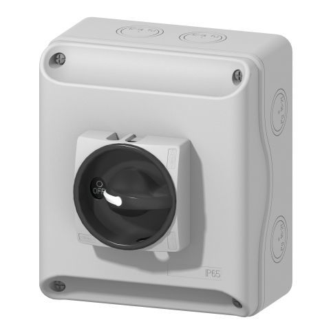 Разъединитель DC - IBP10012220AB - BREMAS BETTER SWITCHES - низкого напряжения / 4 полюса / закрытый