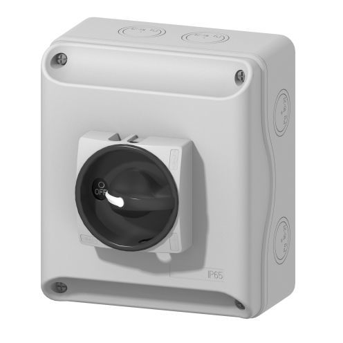 Разъединитель DC - IBX1203012UAB - BREMAS BETTER SWITCHES - среднего напряжения / 2 полюса / закрытый