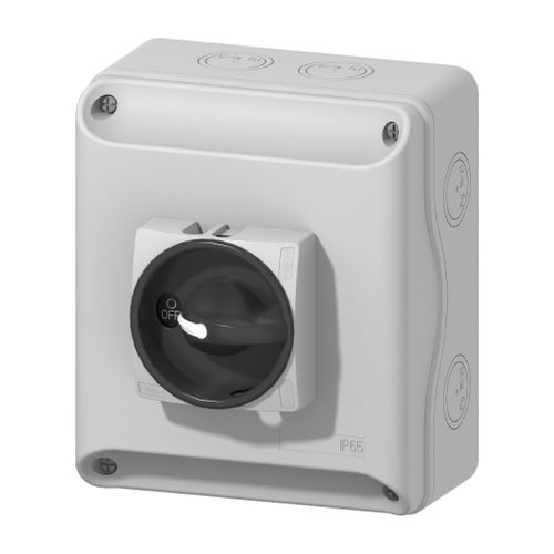 Разъединитель DC - IBX1203022UAB - BREMAS BETTER SWITCHES - среднего напряжения / 4 полюса / закрытый