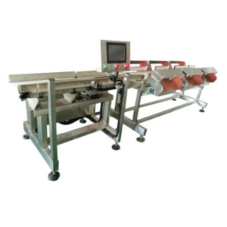 Сортирующее устройство для пищевой промышленности - DHWS400*150-4 - Zhuhai dahang intelligent equipment co., LTD - для процесса