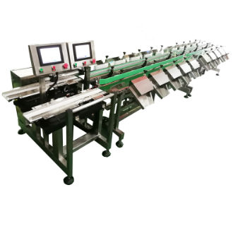 Сортирующее устройство для процесса - DHWS300*150-10 - Zhuhai dahang intelligent equipment co., LTD