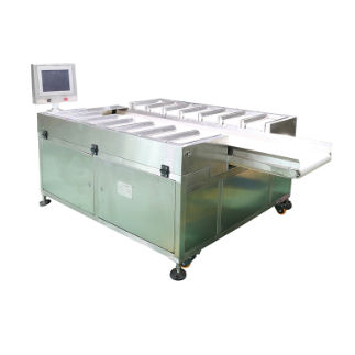 Ленточный дозатор-смеситель - DHPZ-400*150-14 - Zhuhai dahang intelligent equipment co., LTD - весовой