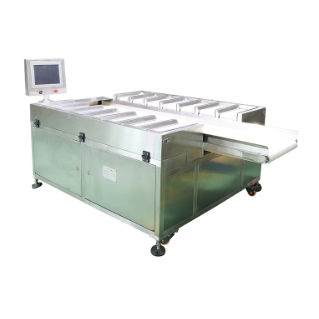 Ленточный дозатор-смеситель - DHPZ-400*150-14 - Zhuhai dahang intelligent equipment co., LTD - весовой / для пищевой промышленности / высокоточный