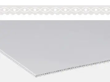 Конвейерная лента из уретана - E 3/1 U2/U2 BT/SMT-HACCP-PS - Forbo Siegling GmbH - из полистирола / для пищевой промышленности / промышленная