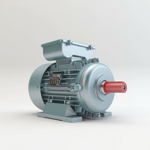Асинхронный двигатель - VM100 - Volt Elektrik Motor - AC / монофазовый / 220 В