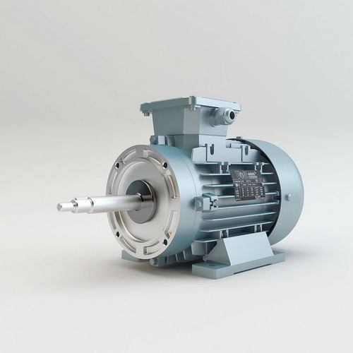 Индукционный двигатель - VM112 - Volt Elektrik Motor - AC / монофазовый / с постоянным и пусковым конденсатором