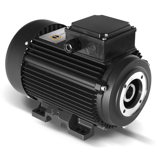 Асинхронный двигатель - HYDRO Series - ORANGE 1 ELECTRIC MOTORS SPA - монофазовый / трехфазовый / 400 В
