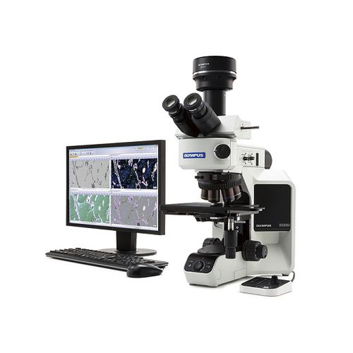 Прямой микроскоп - BX53M - Evident - Olympus Scientific Solutions - оптический / для измерений / промышленный