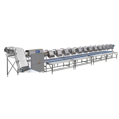 Калибратор для рыбы - MC - MARELEC Food Technologies BVBA - для мяса / ленточный