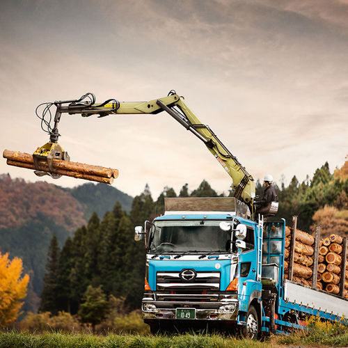 Лесопогрузчик с манипулятором - 105Z series - Hiab - на грузовике