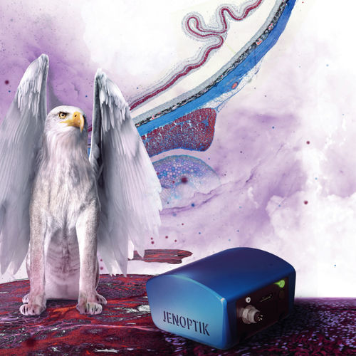 Цифровая камера - PROKYON - JENOPTIK AG - HDR / для научных исследований / медицинская