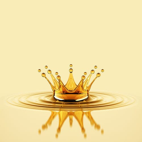 Смазочная твердая смазка - KARLIFOOD SP 2 - MYLUBRICANTS - синтетическая / для подшипника / для цепи