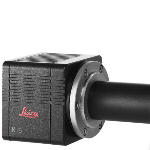 Микрокамера для микроскопов - K5 - Leica Microsystems GmbH - цвет / sCMOS / USB 3.0