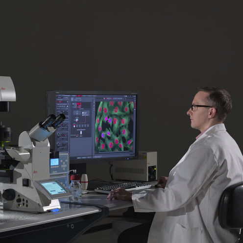 Программное обеспечение изображения - LAS X Life Science - Leica Microsystems GmbH - для микроскопа / Windows