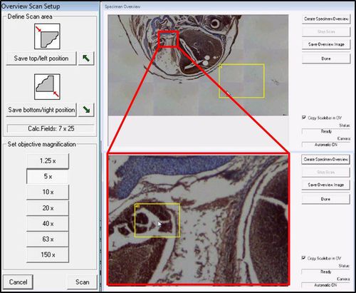 Программное обеспечение для лабораторий - LMD Software - Leica Microsystems GmbH - для микроскопа