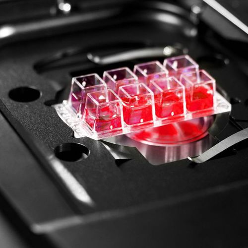 Программное обеспечение для микроскопии - HCS A - Leica Microsystems GmbH