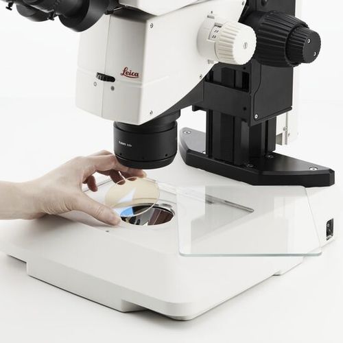 Светодиодное освещение - TL3000 Ergo, TL5000 Ergo - Leica Microsystems GmbH