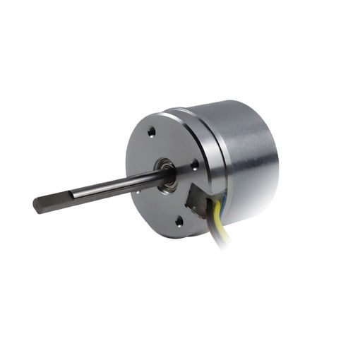 Бесщеточный двигатель - BO4840NH2B - Constar Motion Co., LTD - DC / 24 В / 36 В