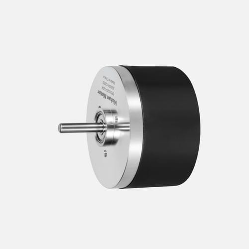 Двигатель DC - BF5032 - Vishan Motor - 12 В / 24 В / с тормозом