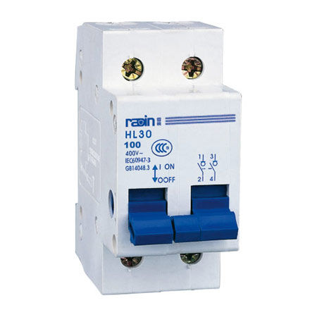 Главный коммутатор низкого напряжения - HL30-100 series - Radin Electric Technology Co., lTD - 3 полюса / 4 полюса / 2 полюса