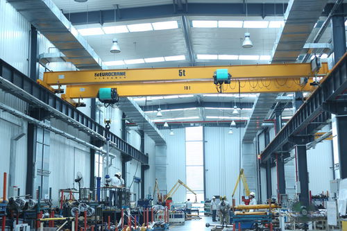 Однобалочный мостовой кран - 00024 - Eurocrane(China)Co.,Ltd - легкий / стальной профиль