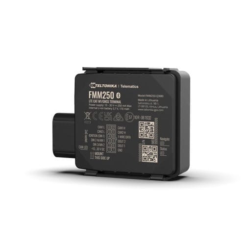 Система геолокализации GPS - FMM250 - TELTONIKA SAS - с регистратором данных / GLONASS / IP67