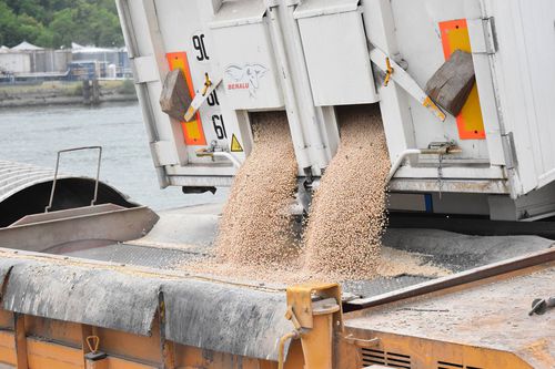 Разгрузчик насыпного - SAUTEC - для подвижного грузовика